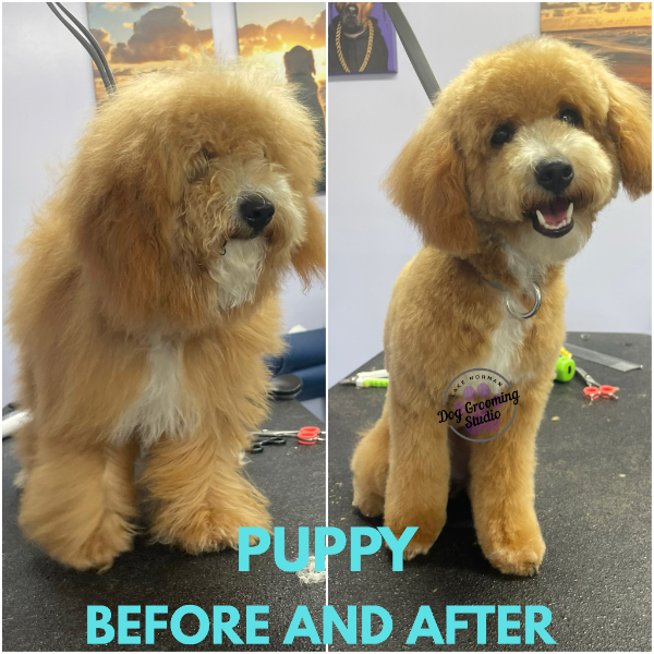 Before and After1